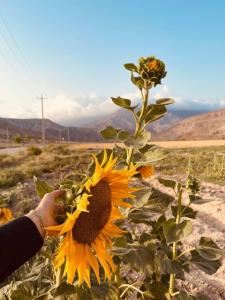 در "بازی" زندگی اگر 
      "عوض" نشوی...!!!
"مطمئن" باش 
   