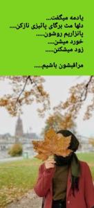 👣🍃💛🧡🍃👣