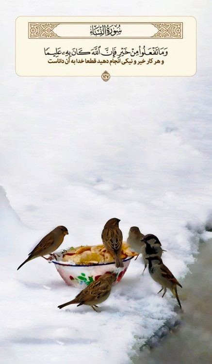 سلام گلای مهربون،خراب معرفتیم رفقا🙋🏻‍♂️🌙✨🔥🍎