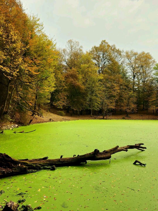 سلام شبتون در پناه حضرت یار