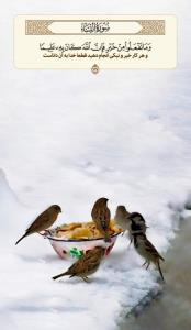 سلام گلای مهربون،خراب معرفتیم رفقا🙋🏻‍♂️🌙✨🔥🍎