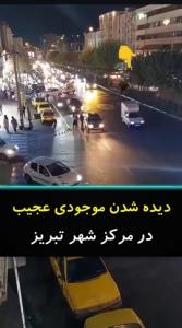 اتفاقات عجیب 