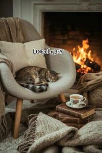 نهایت آرامش در کنار شومینه 🤣🤣😂😂