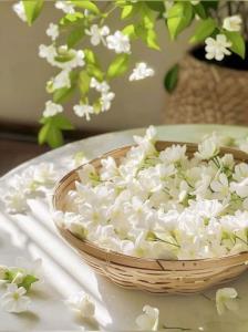 این چهار مورد رو به خاطر بسپار:
