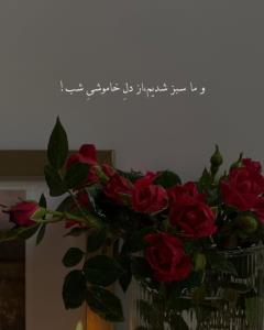 باز سبز میشویم🇭🇺✌️