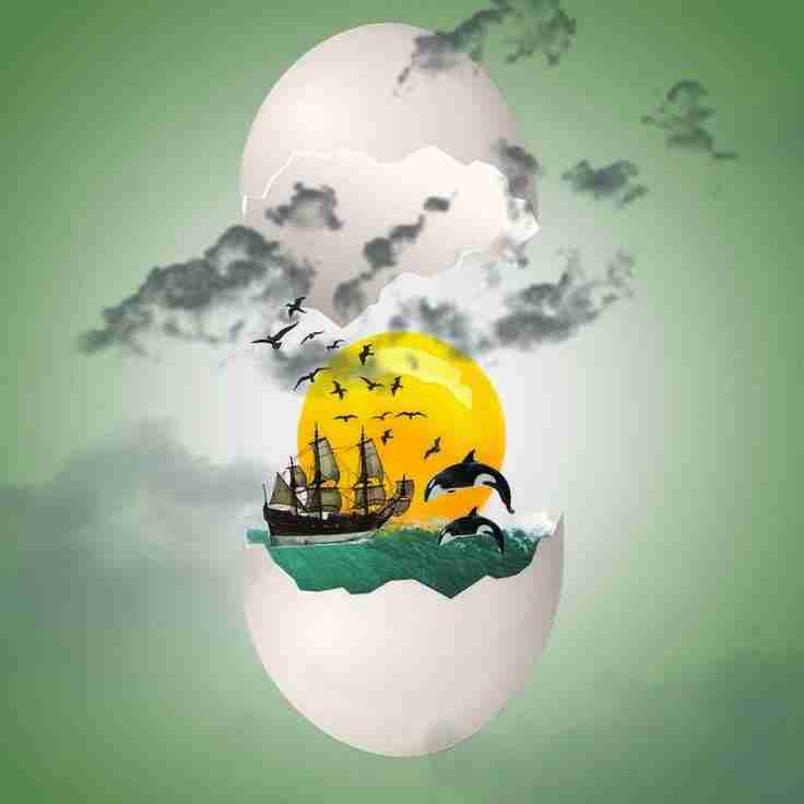 پروفایل‌تخم‌مرغ