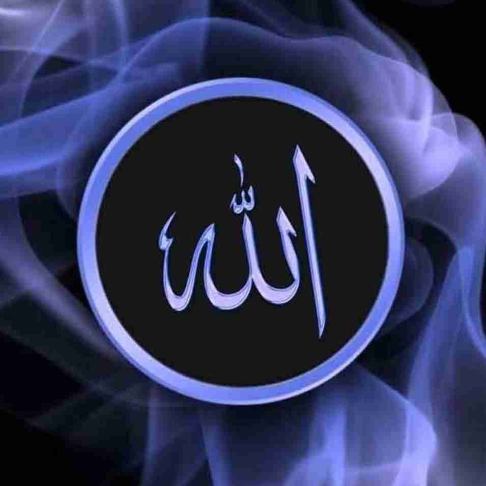 از خدا پرسیدم : چرا بی‌حجاب ها خوشگل ترن ؟ چرا فاسد ها عزیز ترن ؟  چرا مشروب خور ها و سیگاری ها باحال ترن؟ چرا ریاکار ها جذاب ترن ؟ چرا اونایی که اهل تمسخر و غیبت اند محبوب ترن ؟ چرا بی دین ها موفق ترن ؟ خدا گفت : از نظر من یا از نظر مردم ؟ بی گمان گرامی ترین شما در نزد الله باتقوا ترین شماست ( سوره حجرات، آیه ۱۳) 