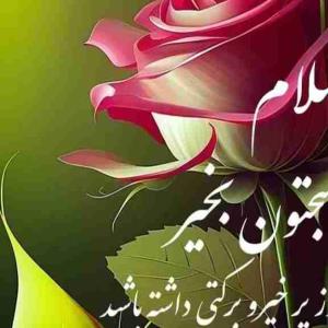 سلام خوبی صبح بخیر عزیزم انشالله همیشه سلامت باشی انشالله 