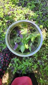 بوی عطرش رو حس می کنید؟😍آخ یادم نبود نمی تونید حرف بزنید🤭