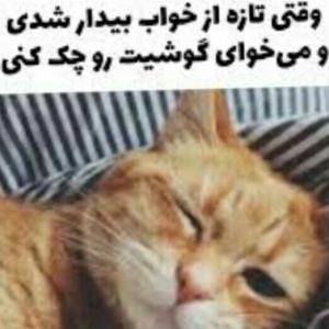  صبحتون بخیر خوبید خوشید من که عالیم😂😌