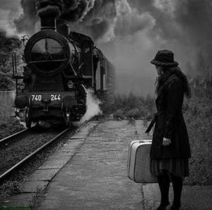 شایَد بِه مَقصَد رِسیدَم