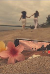 قلبی‌که‌بوی‌تورو‌گرفته‌مگه‌دیگه‌چیزی‌جزتورومیتونه‌حس‌کنه؟❤👑