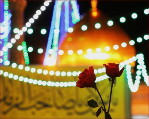 یا حضرت فاطمة المعصومة(س) إشفعی لنا فی الجنّة. ❤️❤️❤️🌹🌿