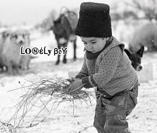 🌹🌹❄️🌷🌷❄️🌹🌹