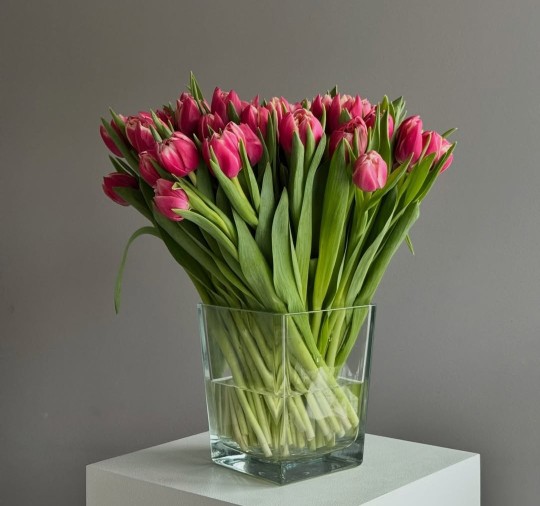 چه عظیم اند دردها... و چه حقیرند کلمات