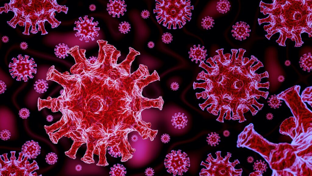 آخرین خبر | ویروس کرونا نه‌تنها در ریه، بلکه در کل بدن پخش می‌شود