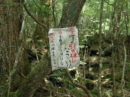 درختان خاموش، ژاپن