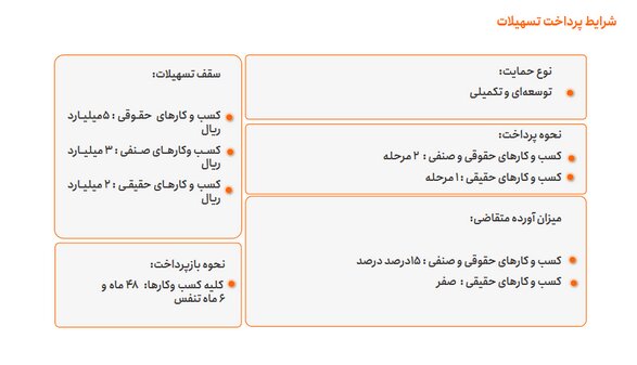 کسب‌ و کارهای فعال در سکوهای داخلی تا ۳۰۰ میلیون تومان وام می‌گیرند