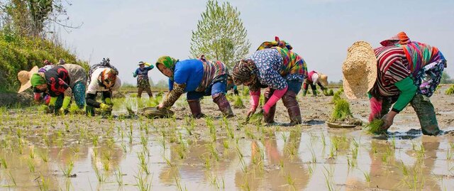 این لباس‌ها سخن می‌گویند!