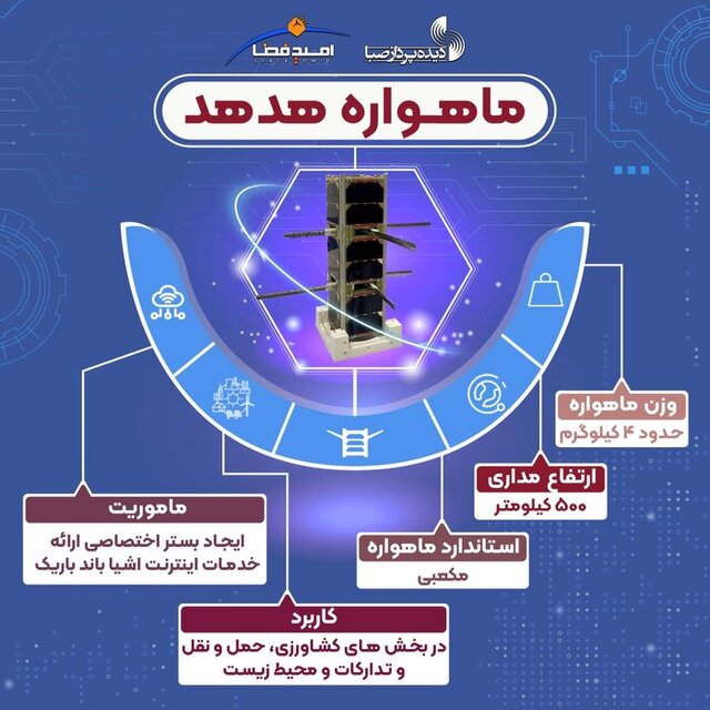 سیاست و بازاریابی