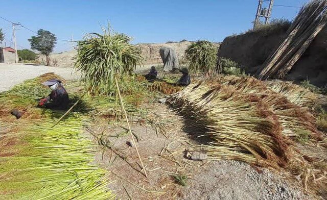 «زابلی محله»؛ روستایی که غبار بیکاری را جارو می‌کند