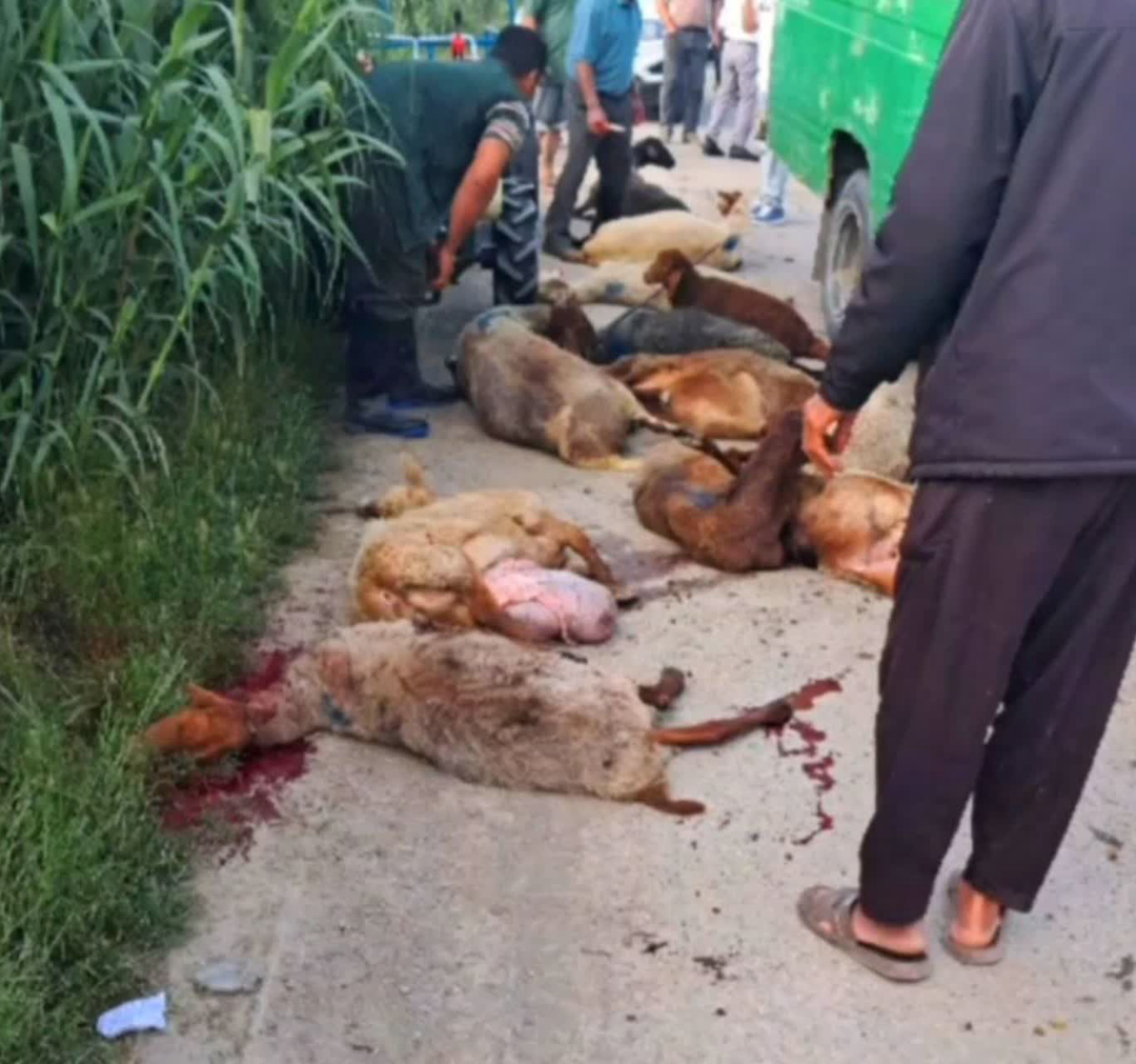 پیام مازند