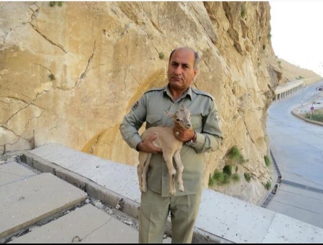عصر قم