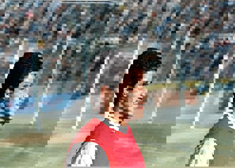 آریا جوان