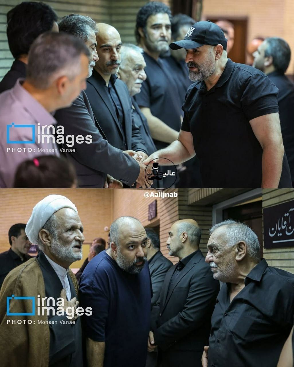 آریا بانو
