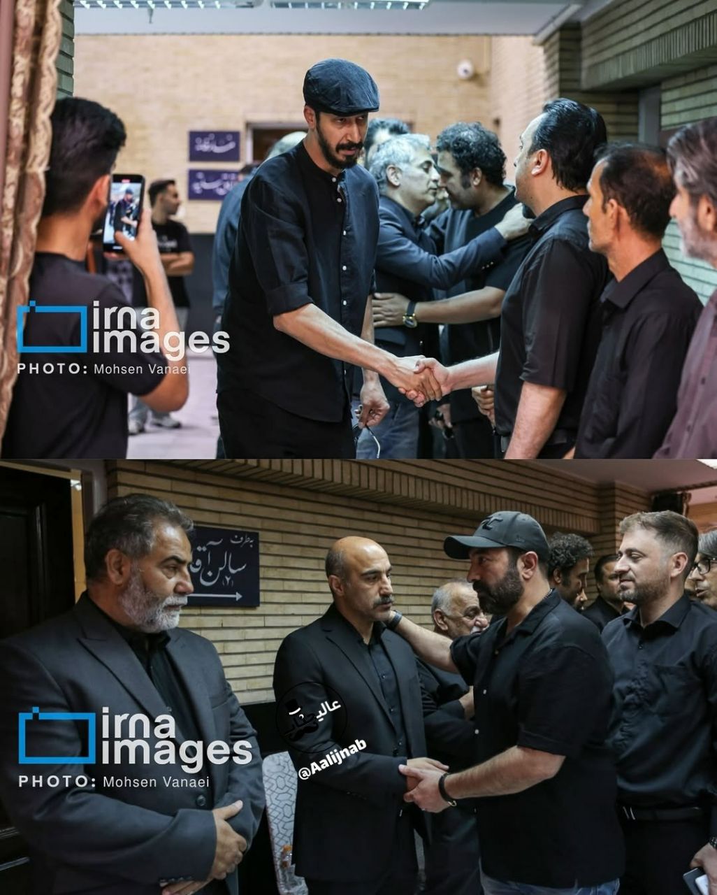 آریا بانو
