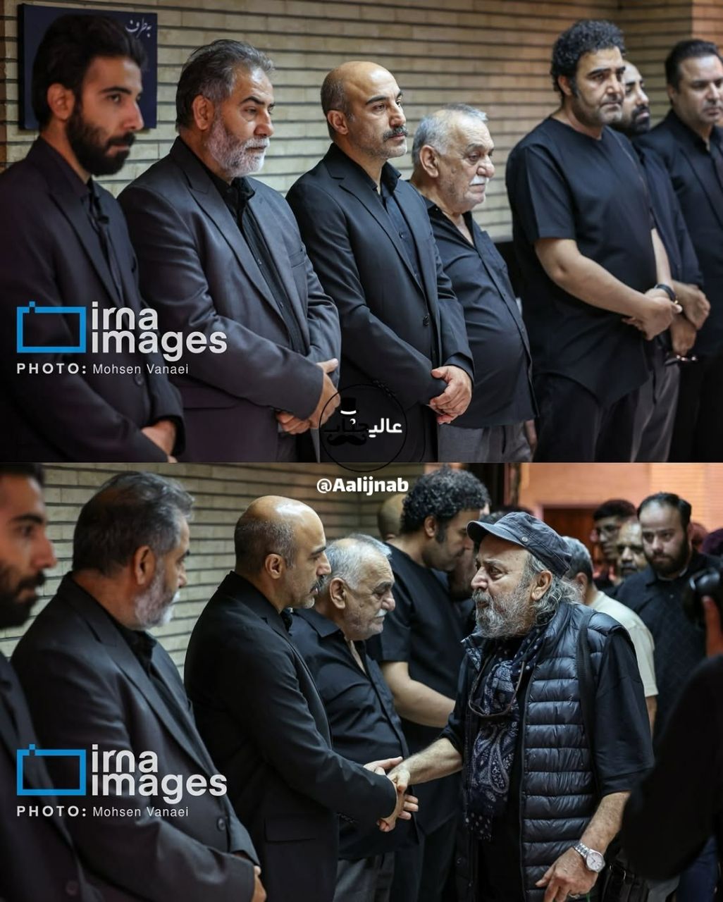 آریا بانو