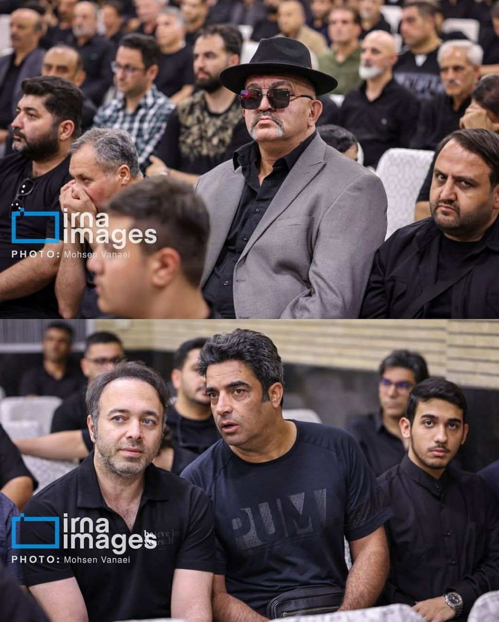 آریا بانو