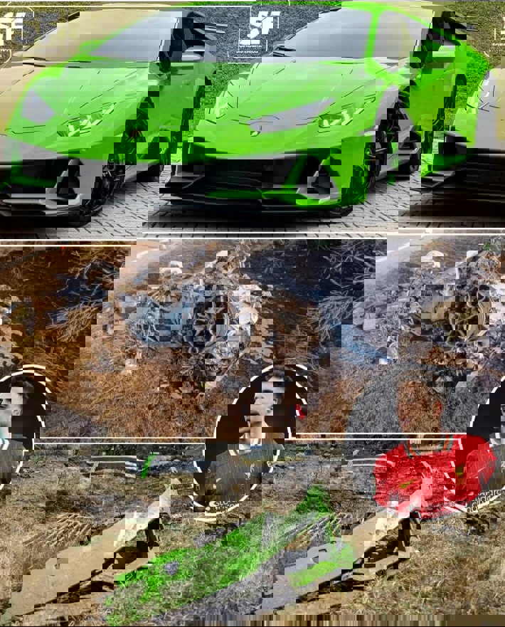 آریا جوان