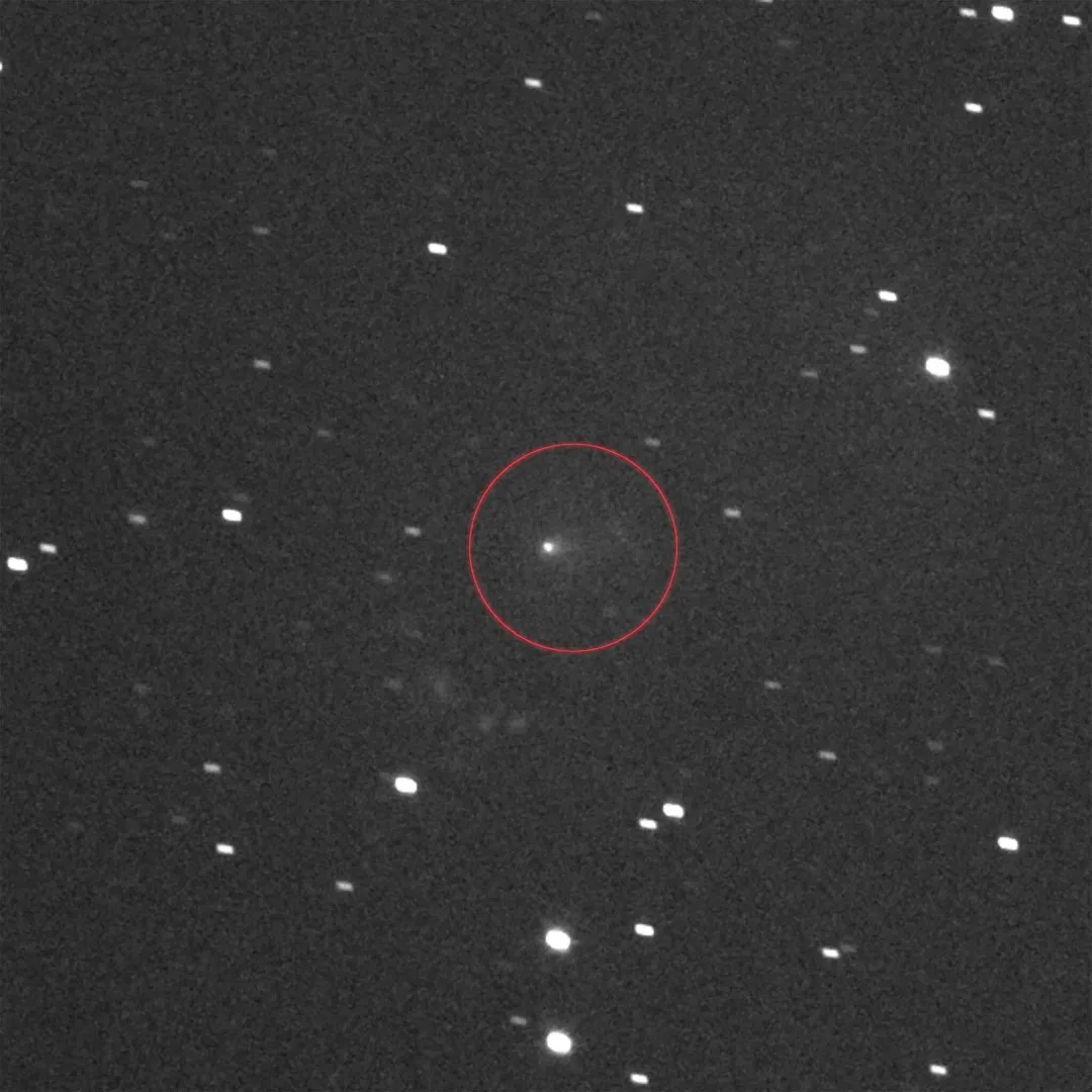 سیاست و بازاریابی