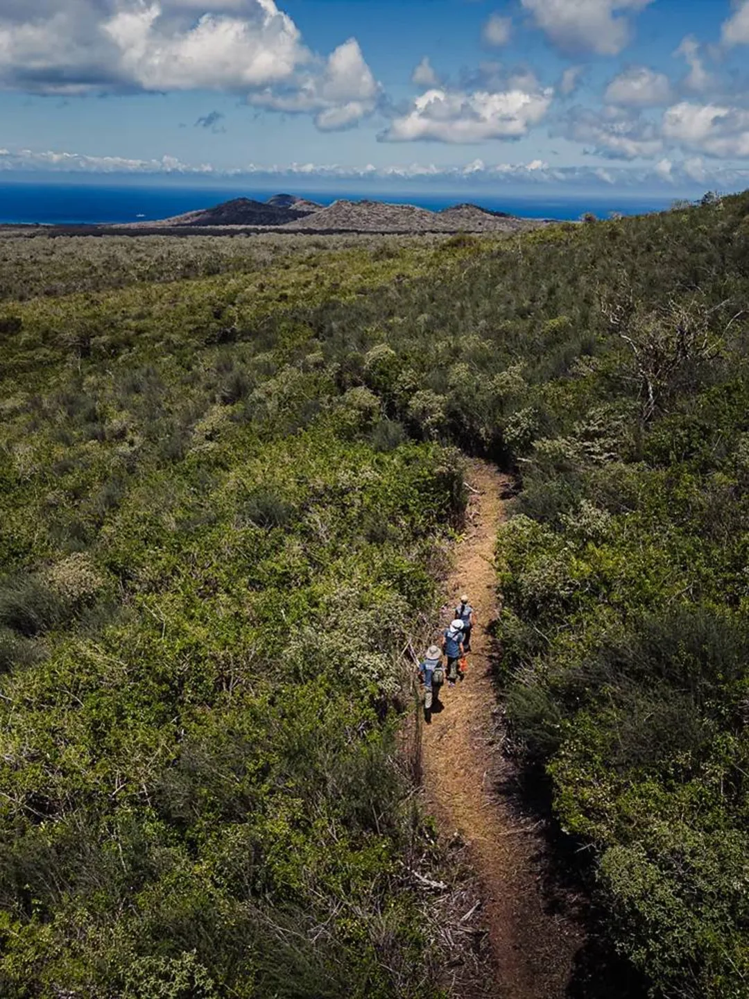 ایران پرسمان