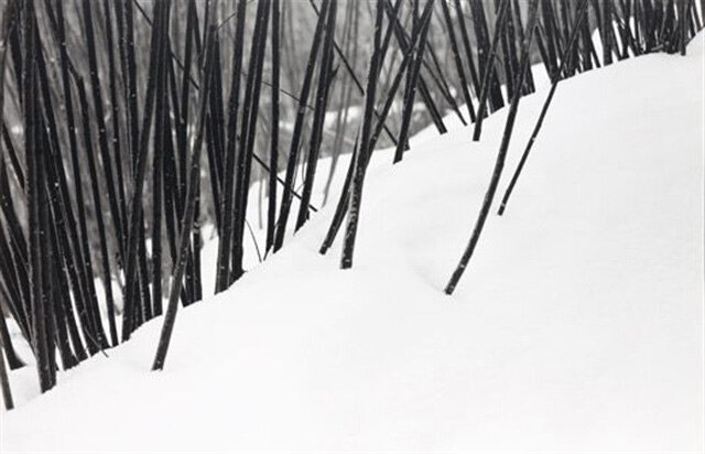 چرا عکس&zwnj;های کیارستمی معروف شدند؟