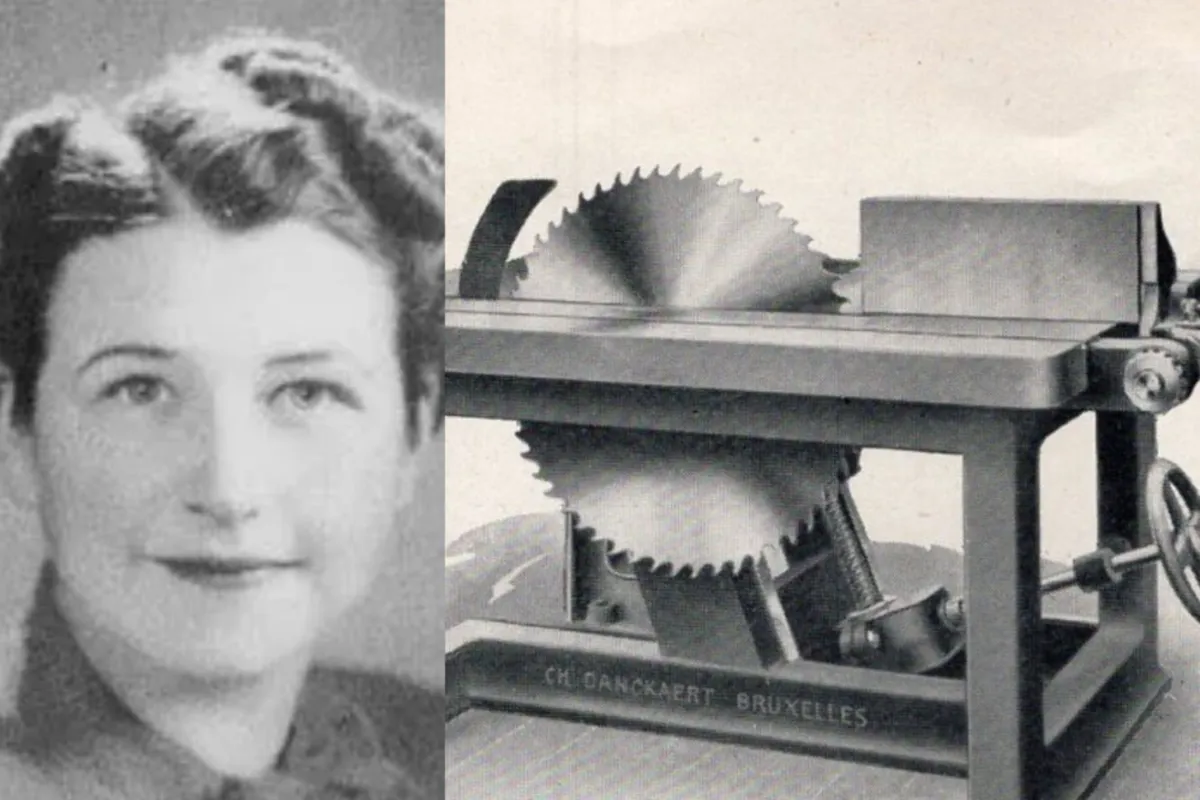 سیاست و بازاریابی