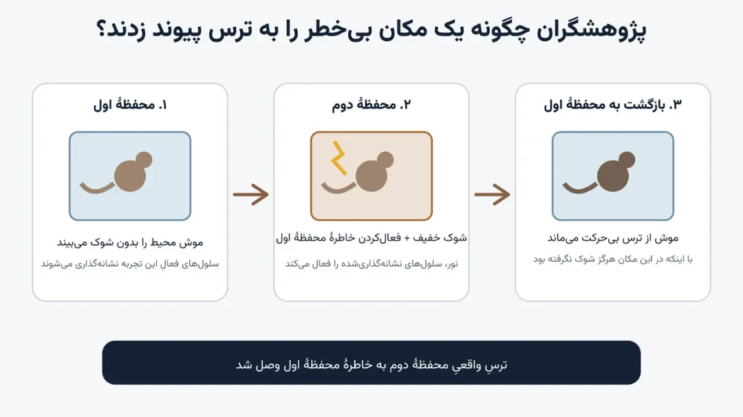 عصر کرد