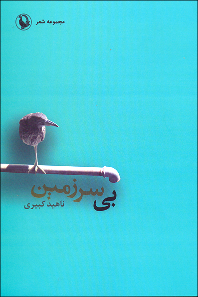 فرهنگی / بی سرزمین پا به کتابقوشی ها گذاشت