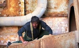 ملکه فعلا روی پرده سینما نخواهد آمد!