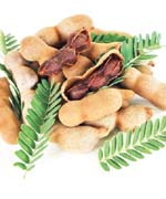 سلامت/ تمرهندی تصفیه کننده خون