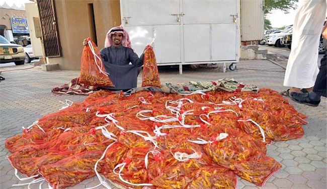 "ملخ" غذای لوکس کشورهای عربی !