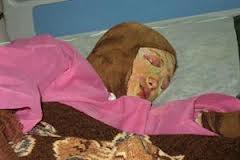 ماده 616 ، تکلیف عاملان حادثه شین آباد را مشخص کرده است 