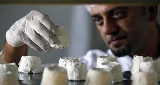 مرد شماره یک تنیس جهان صاحب گران ترین پنیر دنیا