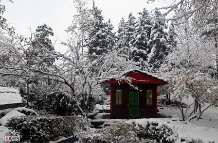 عکس/ خانه برفی در تهران