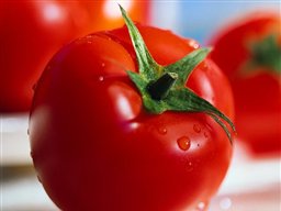 سلامت/ در هوای آلوده علاوه بر شیر، گوجه فرنگی و پرتقال زیاد بخورید 