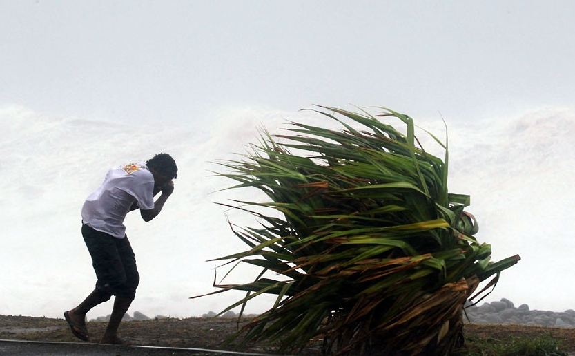 عکس/ مقاومت در برابر باد