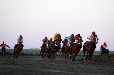 عکس / مسابقات اسب دوانی قهرمانی  کشور