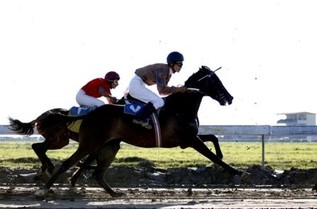 عکس / مسابقات اسب دوانی قهرمانی  کشور