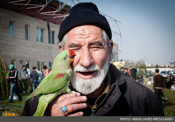 عکس/ مرکز پرنده فروشان